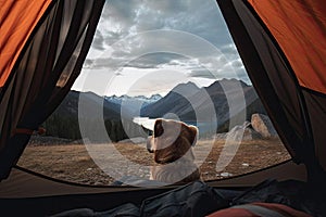 View of an open tent and a beautiful forest with a dog in the foreground