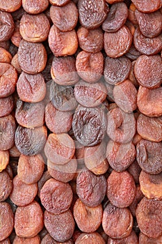 Organic Apricot of Malatya, Turkey. photo