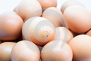 Organic farm eggs from ecologically clean areas photo
