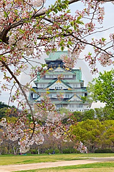 View of Osaka Castle with cherry blossom,Japanese spring beautiful scene,Osaka,Janpan