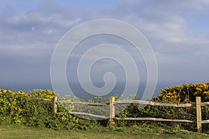 View out towards the sea from East Hill Country Park