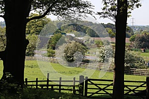 View out of woodland to countryside scene with M6