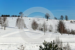 view outdoor on a beautiful winter`s day