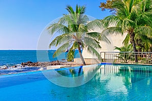 View of the outdoor pool by the sea. There is a lush palm tree next to the pool. Sanya, China.