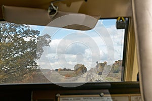 View of trees and foliage and train tracks