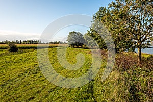 View over the Achthovense Uiterwaarden in the Netherlands