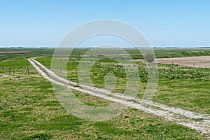 View over the agriculture fields at the nature reserve of the drowned land of Saeftinghe