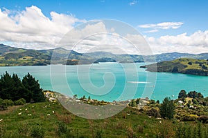 View over Akaroa from the distance