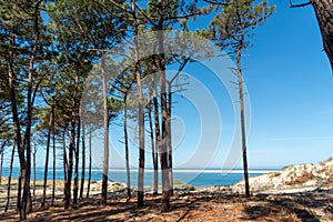 Arcachon Bay, France. View over the Altantic ocean and the sand bank of Arguin