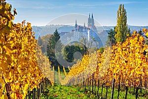 View over autumn vineyards to the city of Meissen in Saxony