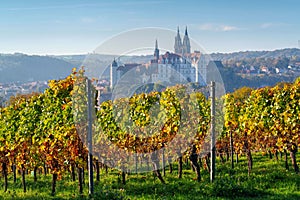 View over autumn vineyards to the city of Meissen in Saxony