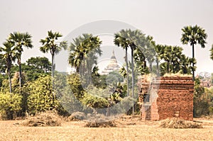 View over the Bagan temples in Myanmar