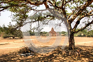 View over the Bagan temples in Myanmar