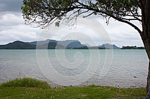 A view over a bay at the Mt. Manaia near Whangarei in Northland in the North Island in New Zealand