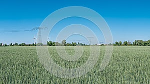 View over beautiful farm landscape with wheat field, poppies and chamomile flowers, wind turbines to produce green energy and