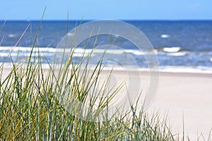 View over beautiful white sand beach and ocean with blue sky from sand dunes with grass