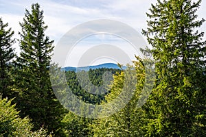 View over the Black Forest towards the horizon