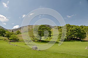 View over Borrowdale