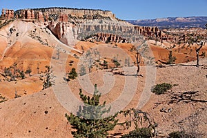 View over Bryce Canyon