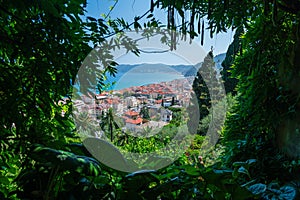 View over the city of Alassio