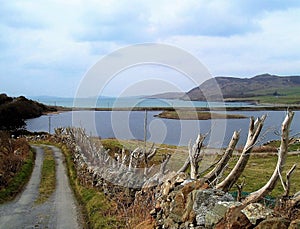 View over the bay to Inishbofin photo