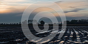 View over cultivated land at the Belgian countryside during sunset around Blankenberge