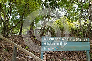 View over Davidson Whaling Station Historic Site sign, a heritage-listed former whaling station built in 1896 at Edrom, Bega