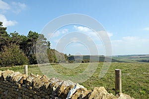 View over Dorset coast, Abbotsbury gardens