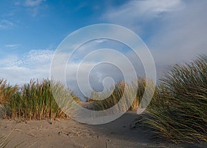 View over the dunes on the island of Schiermonnikoog, Holland