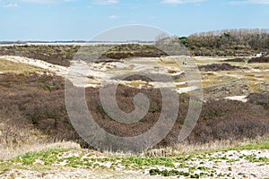 View over the dunes and plants of the nnature park Zwin