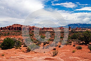 View over endless red sand plain with green plants in dry environment with rugged mountain range background against blue sky