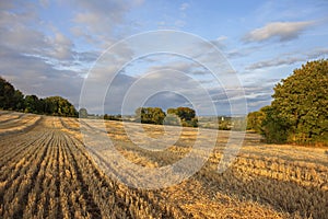 View over farmland towards the church at Chipping Campden, Cotswolds, Gloucestershire, England