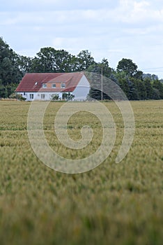 View over field to the historic farm Eichenhof (lit. oak farm) at Jager, Mecklenburg-Vorpommern, Germany