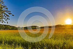 View over fields and trees in the light of the setting sun in the LÃ¼neburg Heath in Germany.