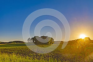 View over fields and trees in the light of the setting sun in the LÃ¼neburg Heath in Germany.