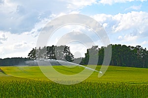 View over fields that are watered by sprinklers in the Lueneburger Heath