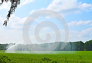 View over fields that are watered by sprinklers in the Lueneburger Heath