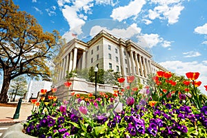 View over flowers United States Congress library