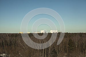 View over forest. Houses on horizon. Open space