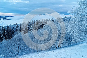 Snowy hillside forest in the biosphere reserve Rhoen in Germany with cloud hanging in valley, blue hour photo