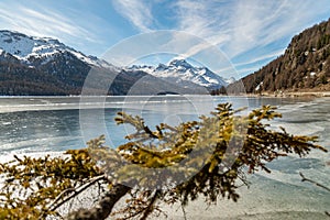 View over the frozen lake of Silvaplana and the peak of the mount Corvatsch in the background