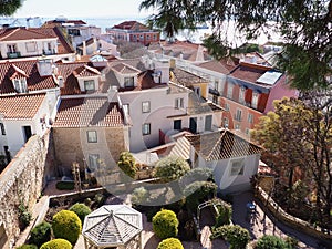 View over the gardens and rooftops of historic downtown Lisbon