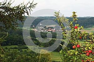 View over german village in summer