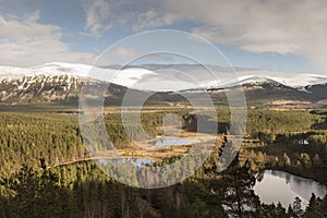 View over Glen Feshie and the Cairngorms in Scotland.