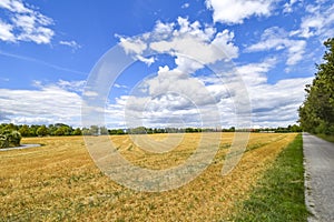 View over golden harvested fields to trees and buildings on the horizon under a blue and cloudy sky.