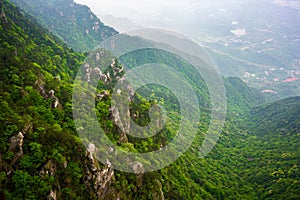 View over green forest with different coloring in Lushan National Park mountains Jiangxi China