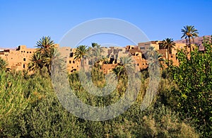 View over green plants and palm trees on isolated clay house village against blue sky