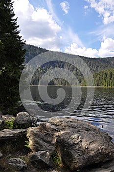 View over the Groï¿½er Arbersee in the Bavarian Forest