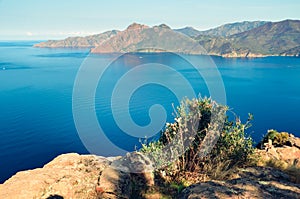 View over the Gulf of Port and Scandola nature reserve in Corsica, France