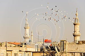 View over Hama, Syria photo